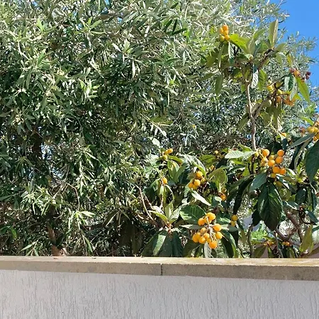 Casa vacanze Santa House